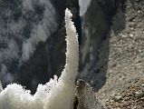 15 The Finger Penitente On The Gasherbrum North Glacier In China